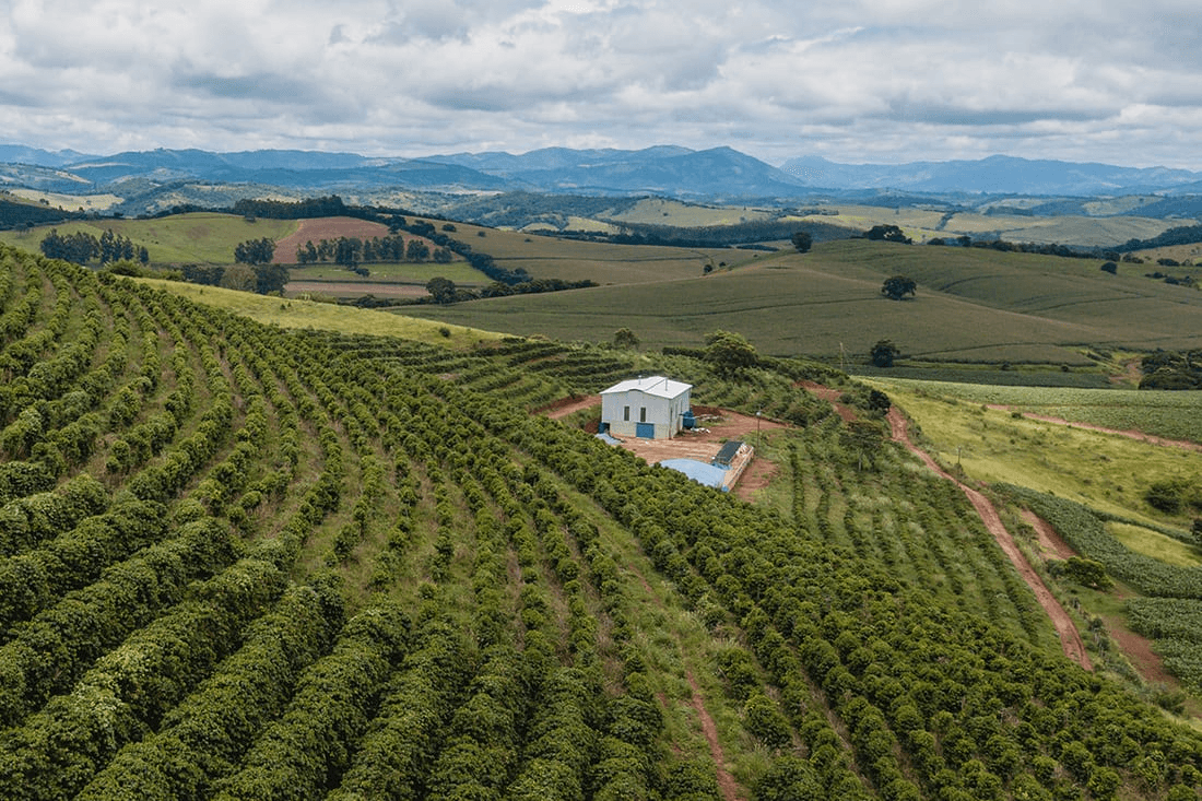 Modern agricultural facility in Rwanda's organized farming landscape - Strategic Economic Performance